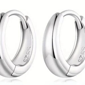 Elegant Silver Hoop Earrings
